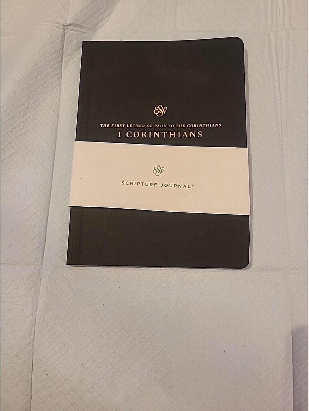 ESV Scripture Journal: Psalms (Paperback) by ESV Bibles